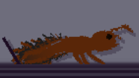 Ants