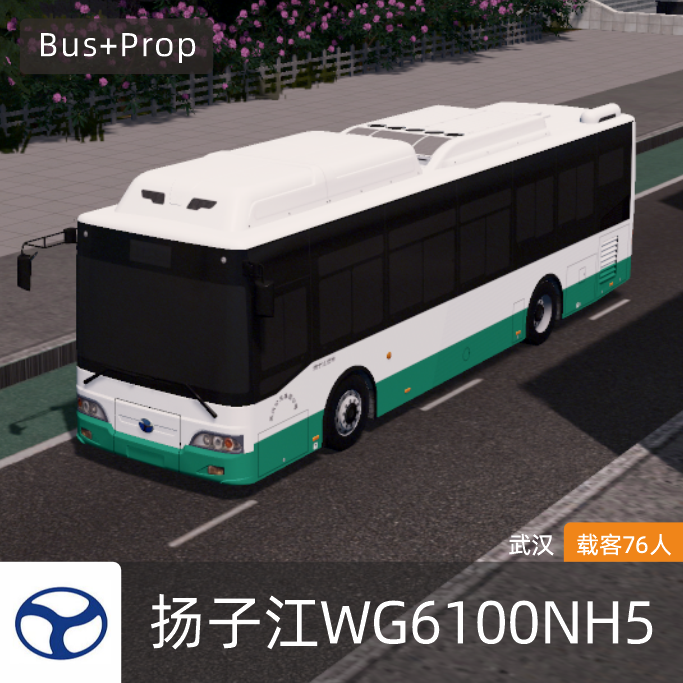 扬子江WG6100NH5-武汉 YANGTSE BUS Wuhan China