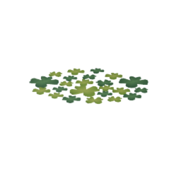 Clover field