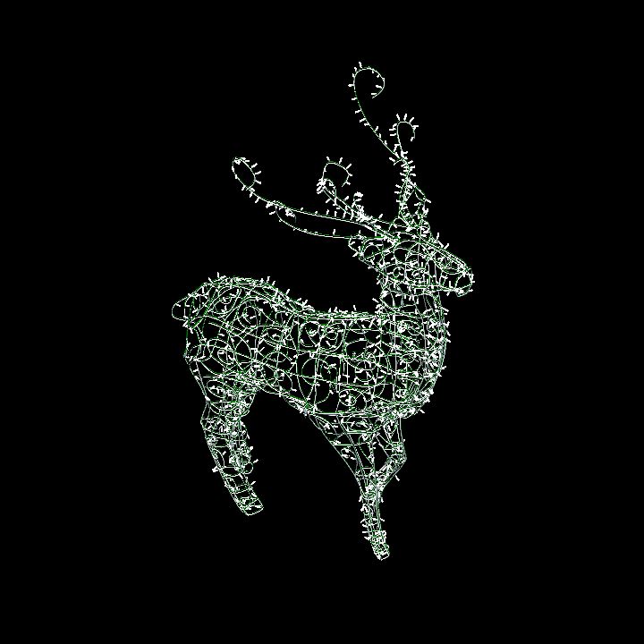 Deer White
