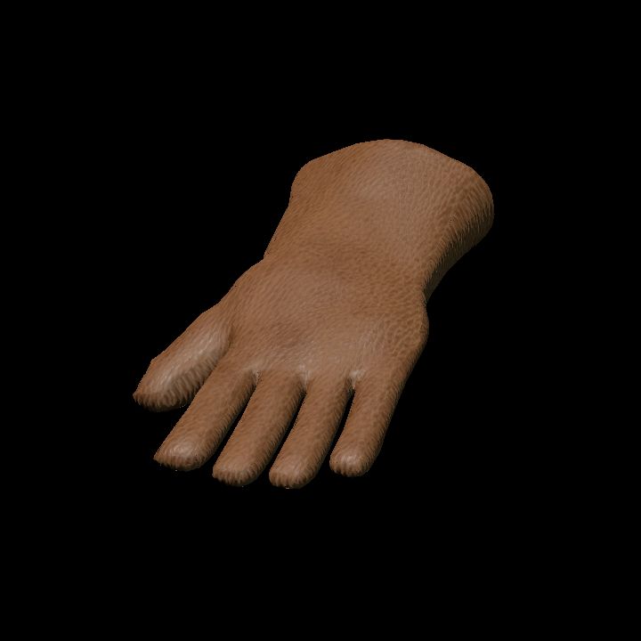Leather gloves - lying L 2