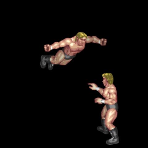 Swan Dive Lariat