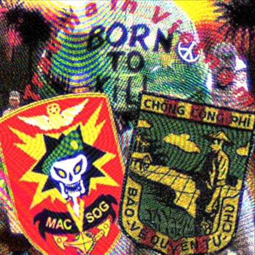 MACVSOG-CIDG factions