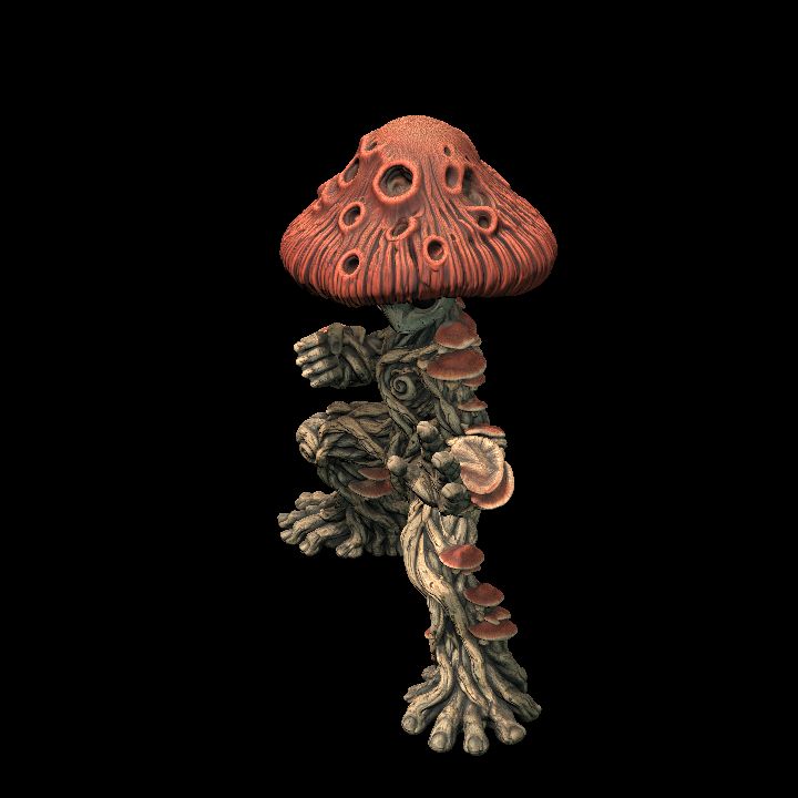 MYCONID MONK