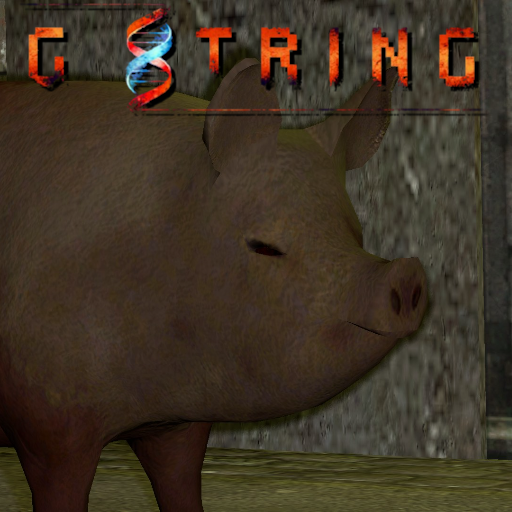 G-String - Pig