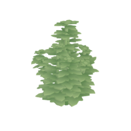 Herb (mint)