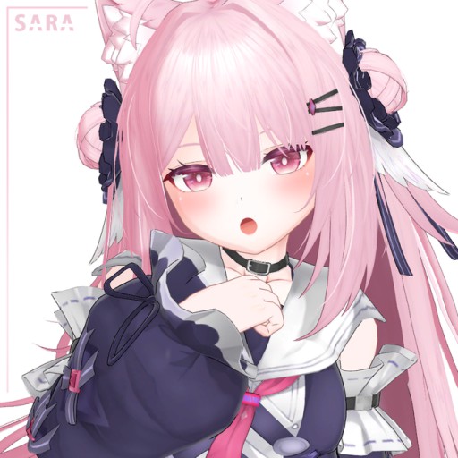[PM & NPC] Sara