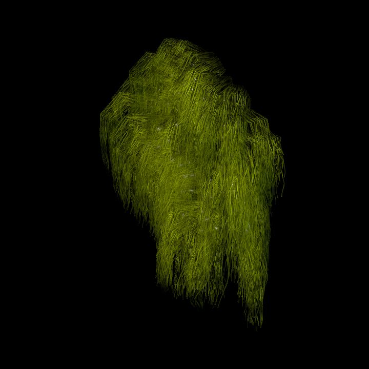SwampTussockWall_6