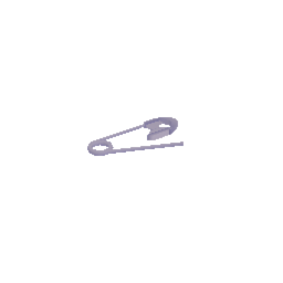 Safety Pin
