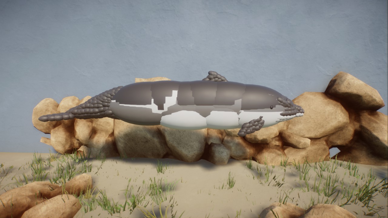Rick's Atlantic White-Sided Dolphin preview