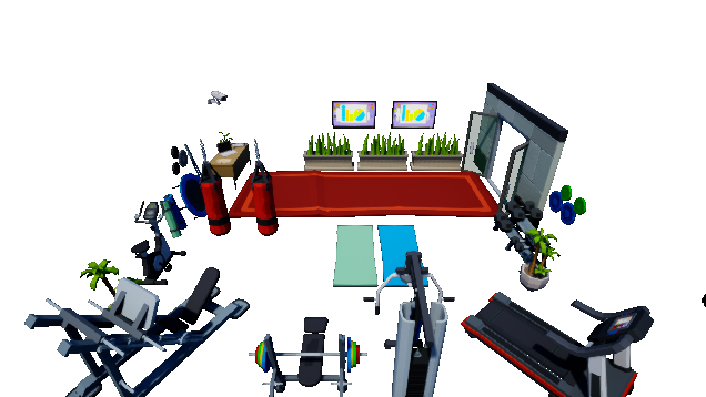 Ölex Home gym preview