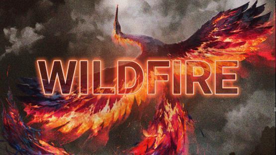 Wildfire Custom Assets – Counter-Strike 2 Mod