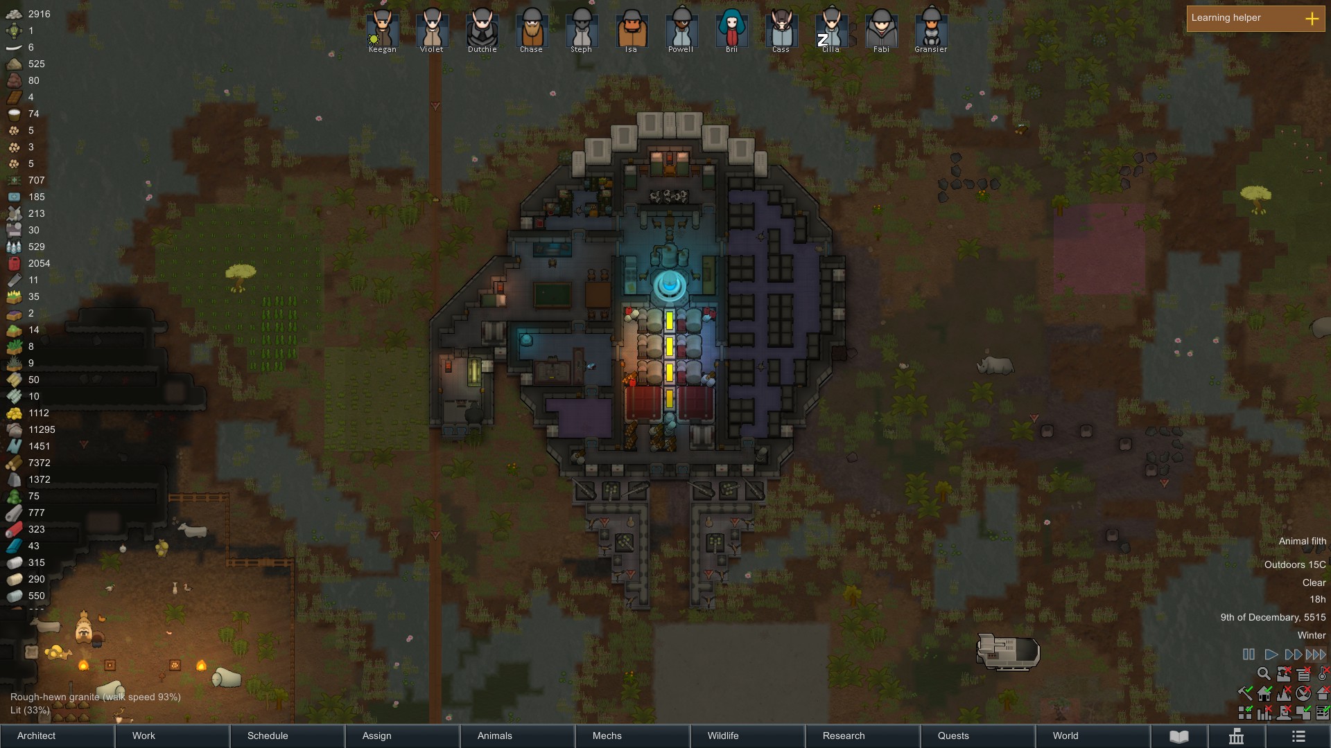 Игровой процесс RimWorld