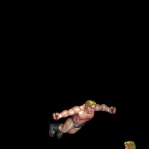 Springboard Lariat