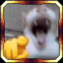 Laugh Cat