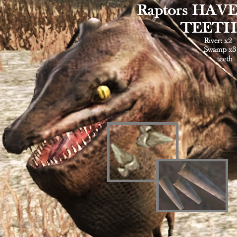 Raptors Have Teeth