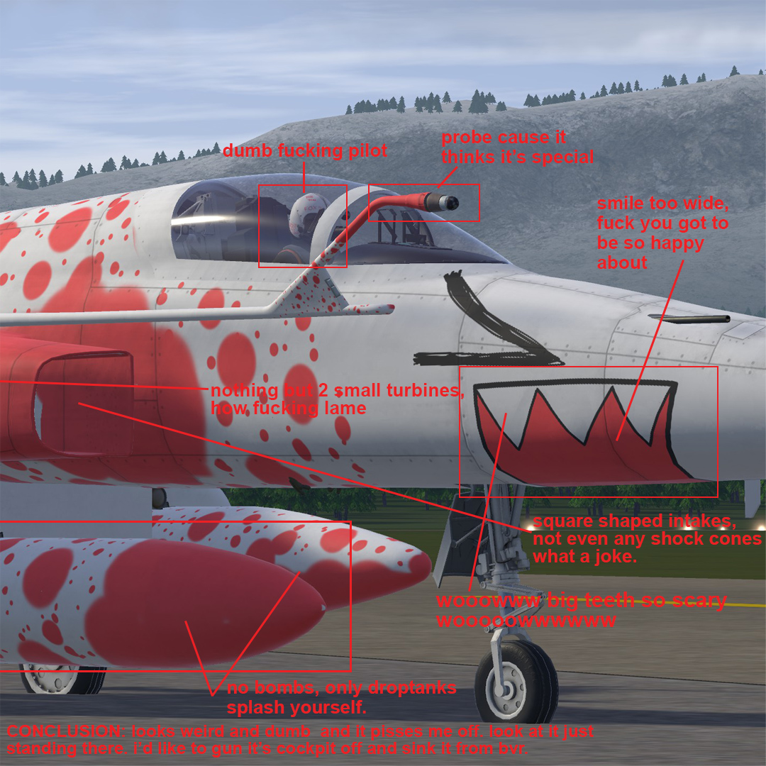 F-5E TokenTigerIII