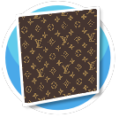 Louis Vuitton Monogram Canvas