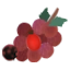 Berries from the vine