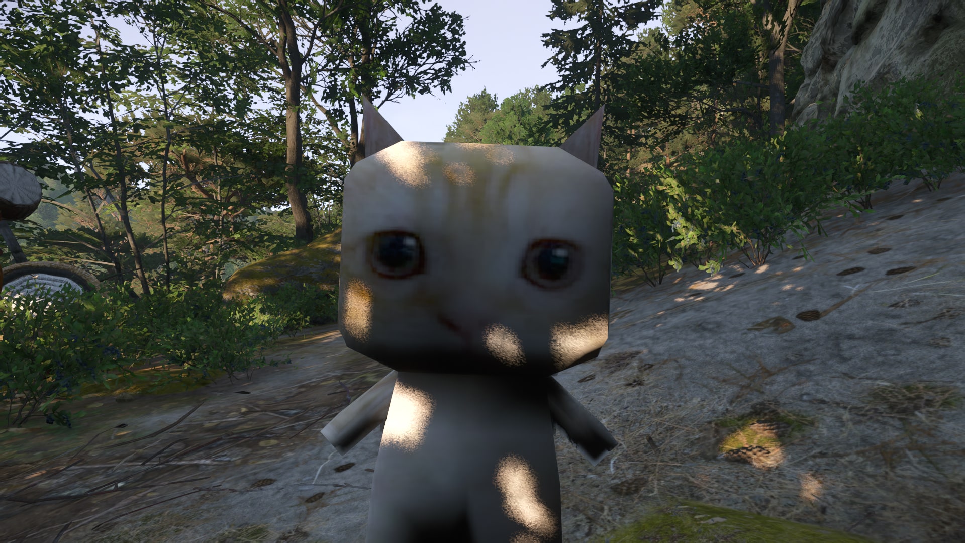 El Gato - Your New Companion