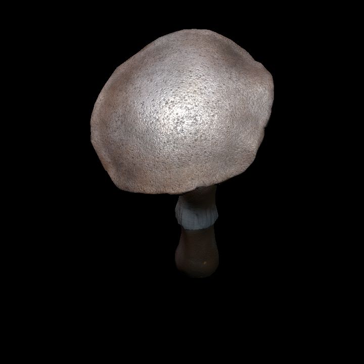Mushroom_Middle_2_4