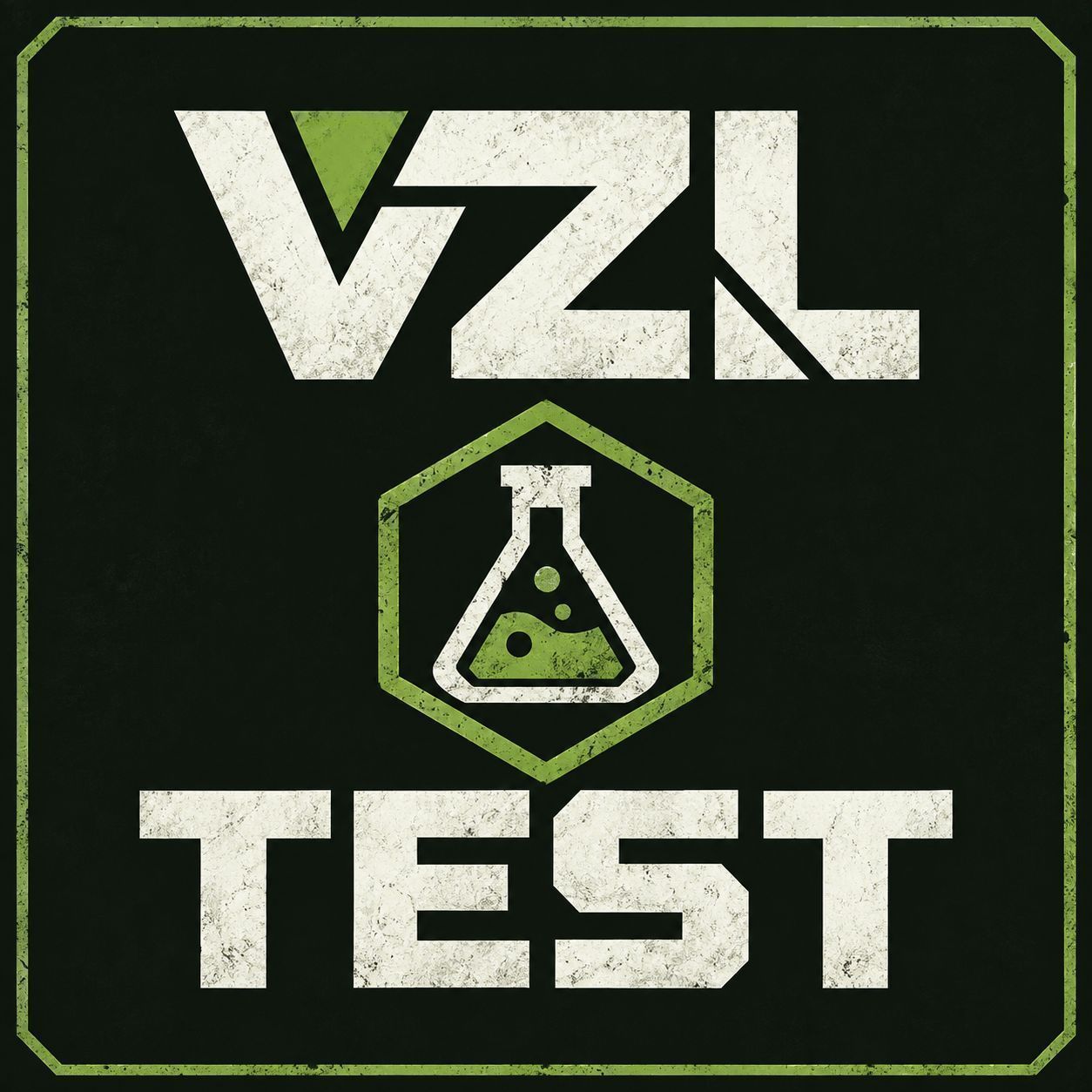 VZL_Test