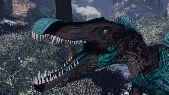 Irbis Spino