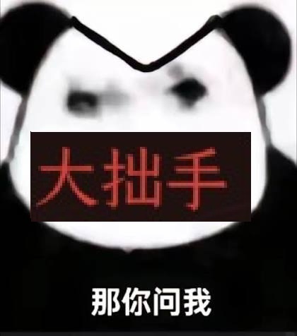 文武双拳