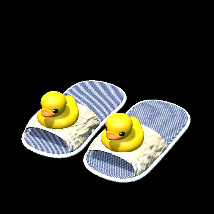 Duck slippers