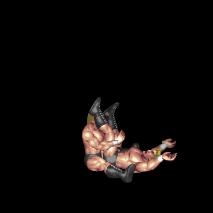 ハヤブサ風タイガードライバー / Tiger Driver