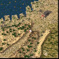 The Desert Underdog