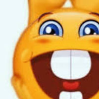 shit