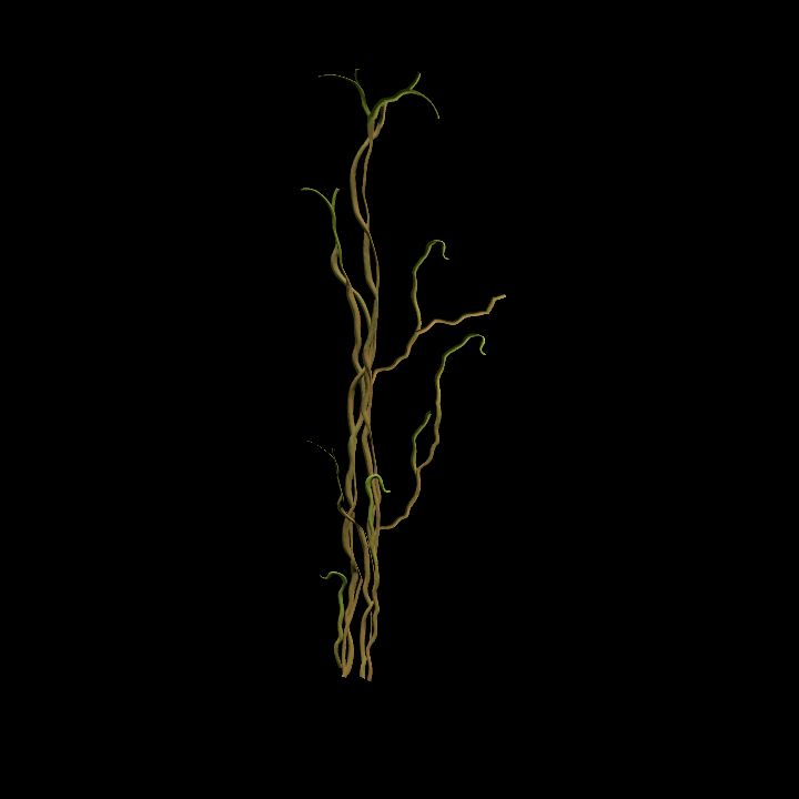 Vine_07