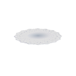 Doily