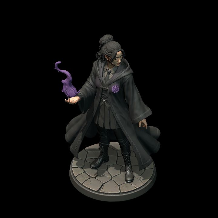 House Shadow Wizard F