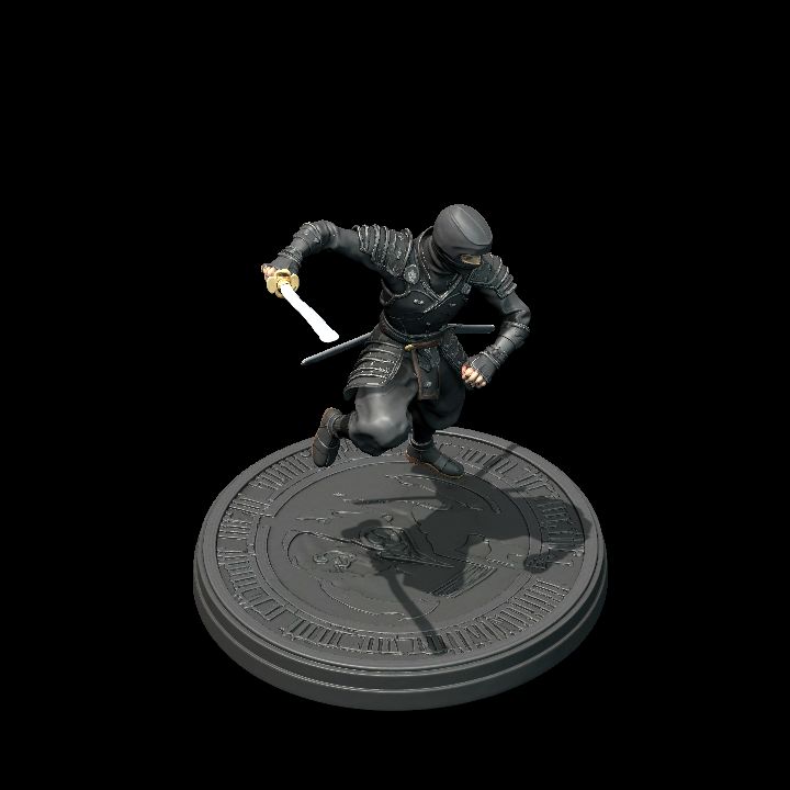 ninja 2