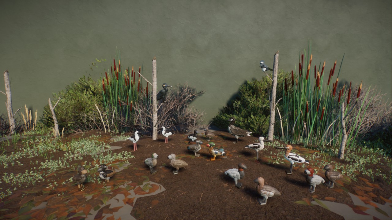 Rick's North American Wetlands Birds preview