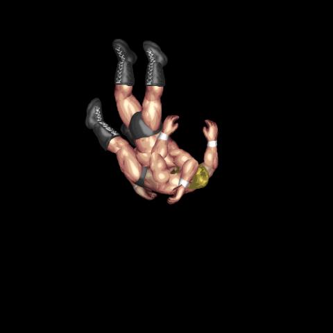 Moonsault Slam