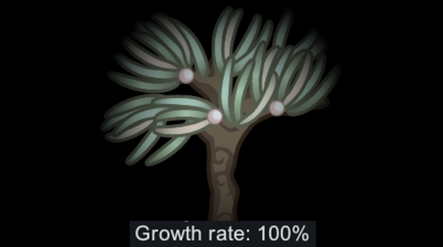 Anima Tree grows in darkness
