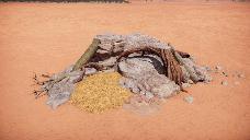 Rocky nest