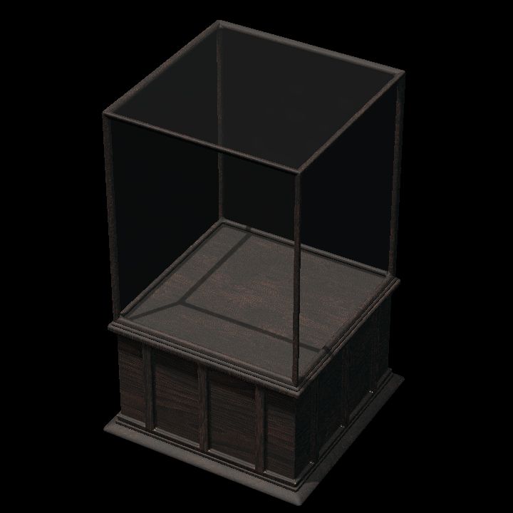 Display Case 2
