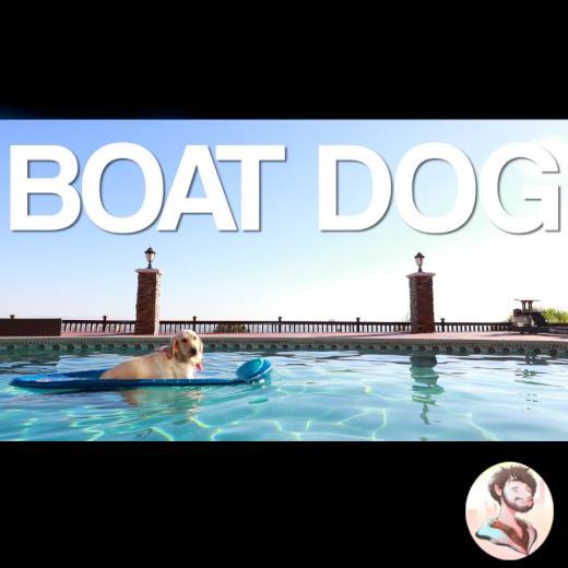 boat dog