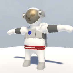 gato astronauta