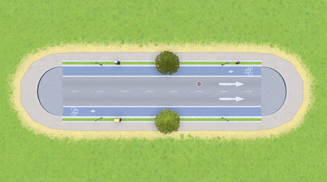 Small Road with Blue Bicycle Lanes, Trees, No Parking (One-Way)