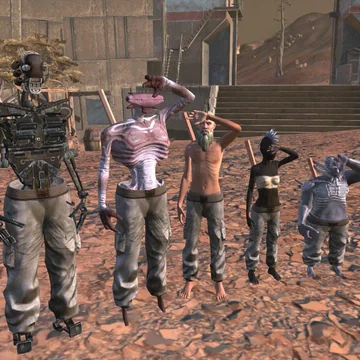 Racial diversity (soft and logical)