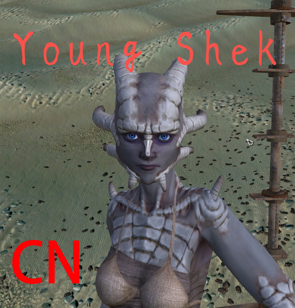 Young Shek CN