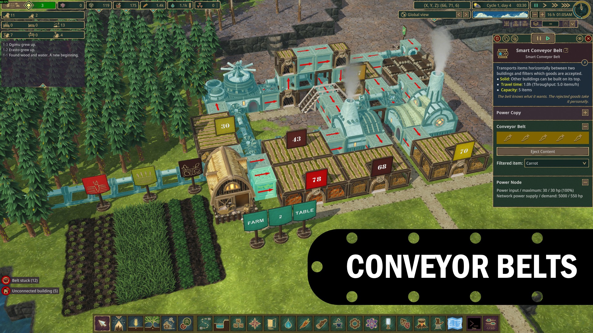 Conveyor Belts