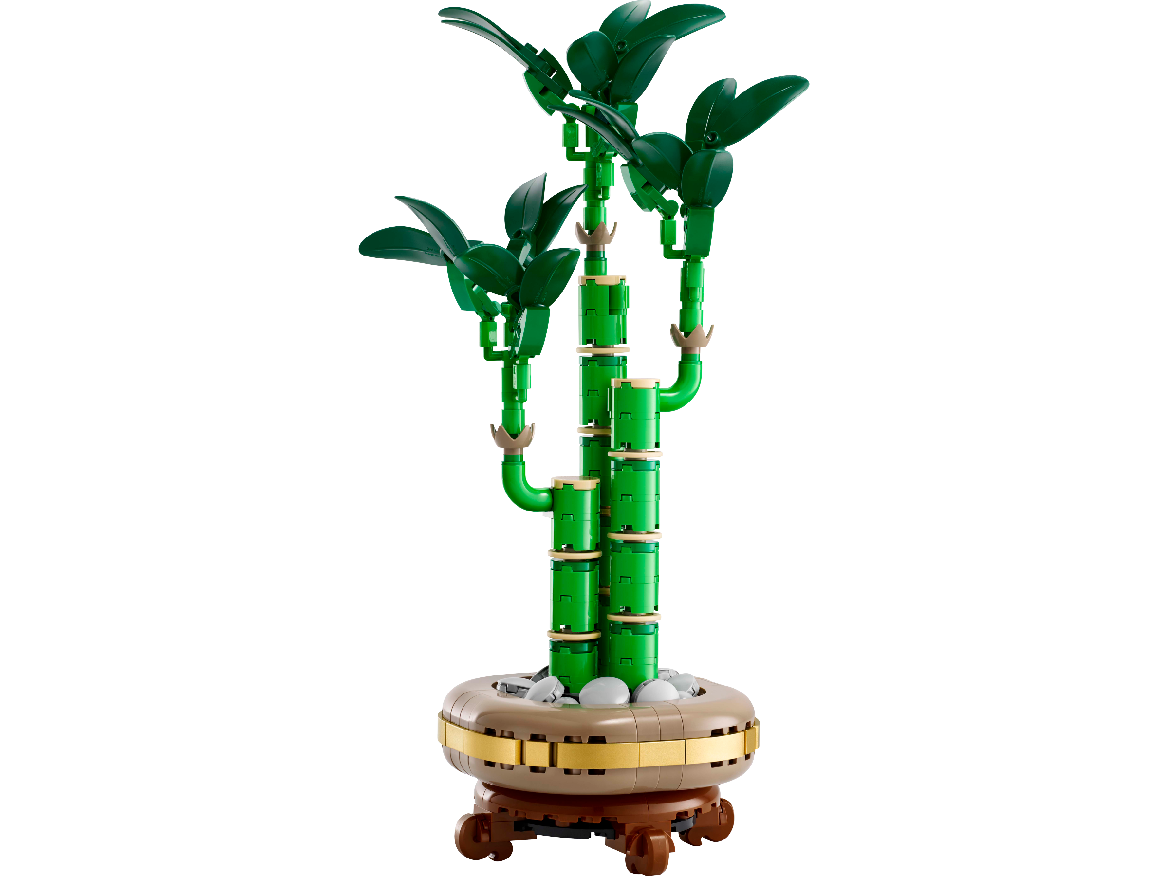 Operation Lucky Bamboo