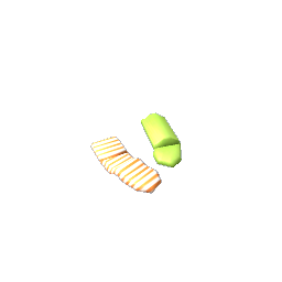 Loose Socks- V2