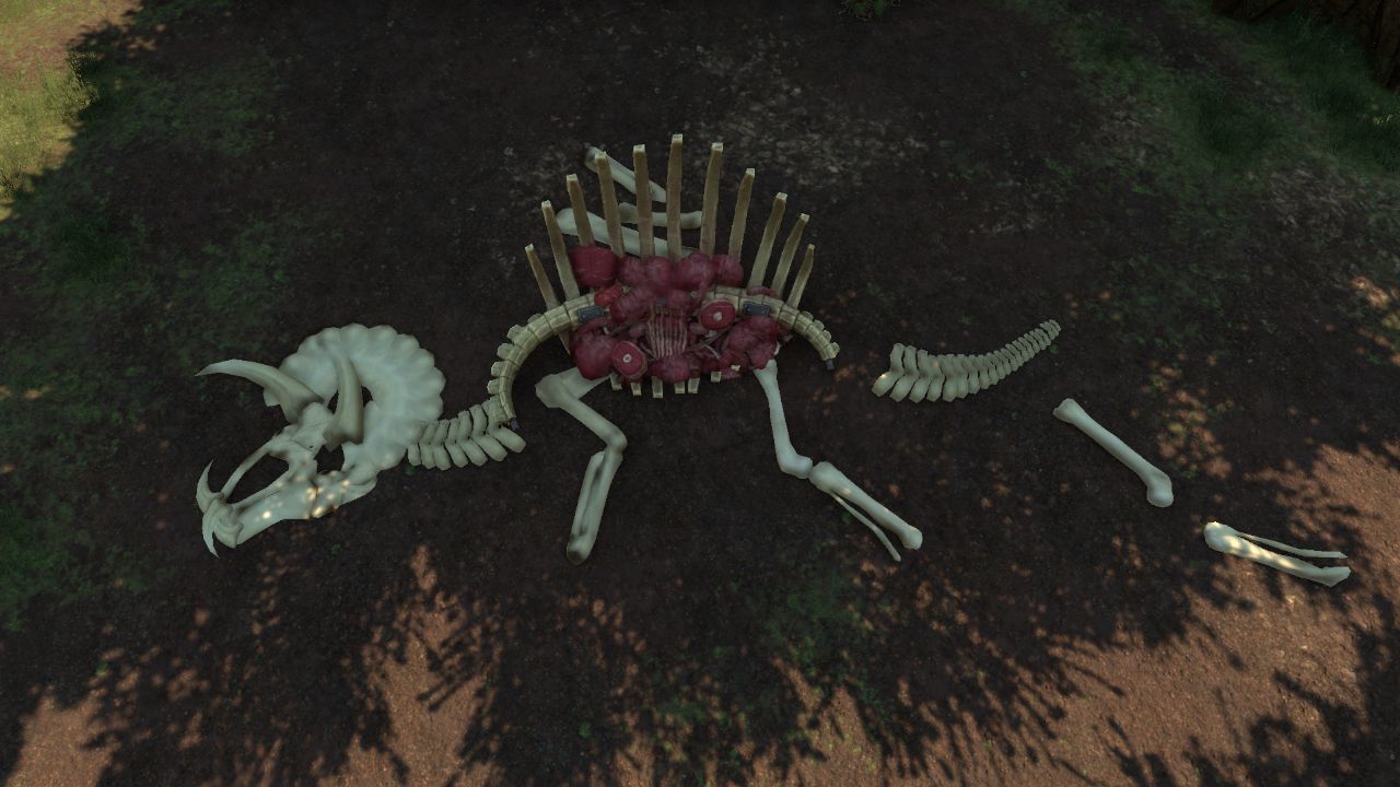 Triceratops corpse feeder
